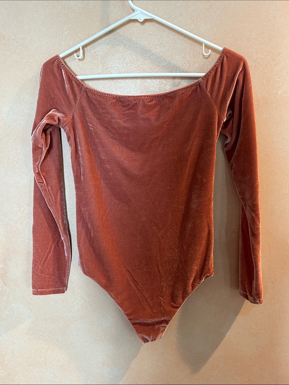 Privacy Please Pink Velvet Bodysuit size small